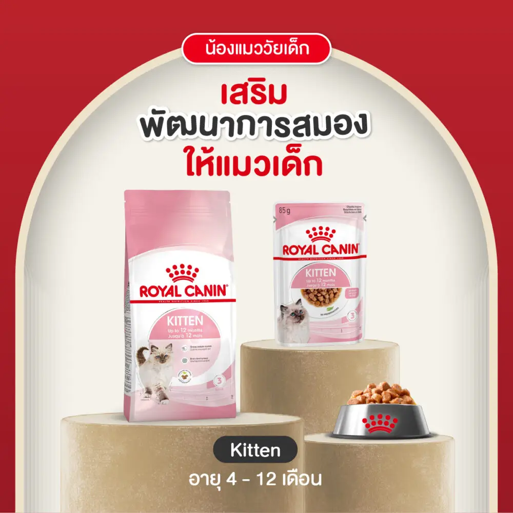 555724305_1144639751103153_6939561603650991271_n