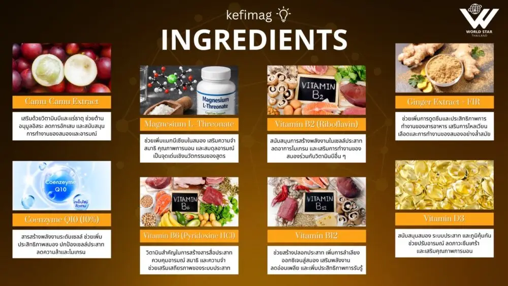 Kefimag magnesium l threonate magtein นอนไม่หลับ บำรุงสมอง อาหารเสริมแมกนีเซียม 02