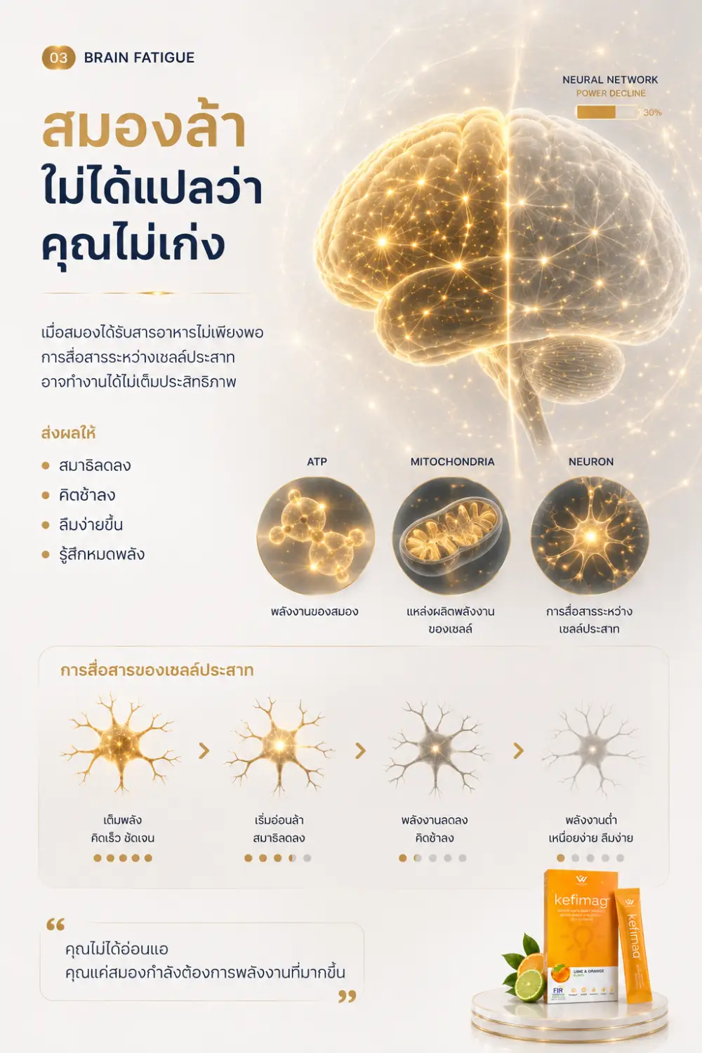 Kefimag เคฟีแมก brain nutrition 02