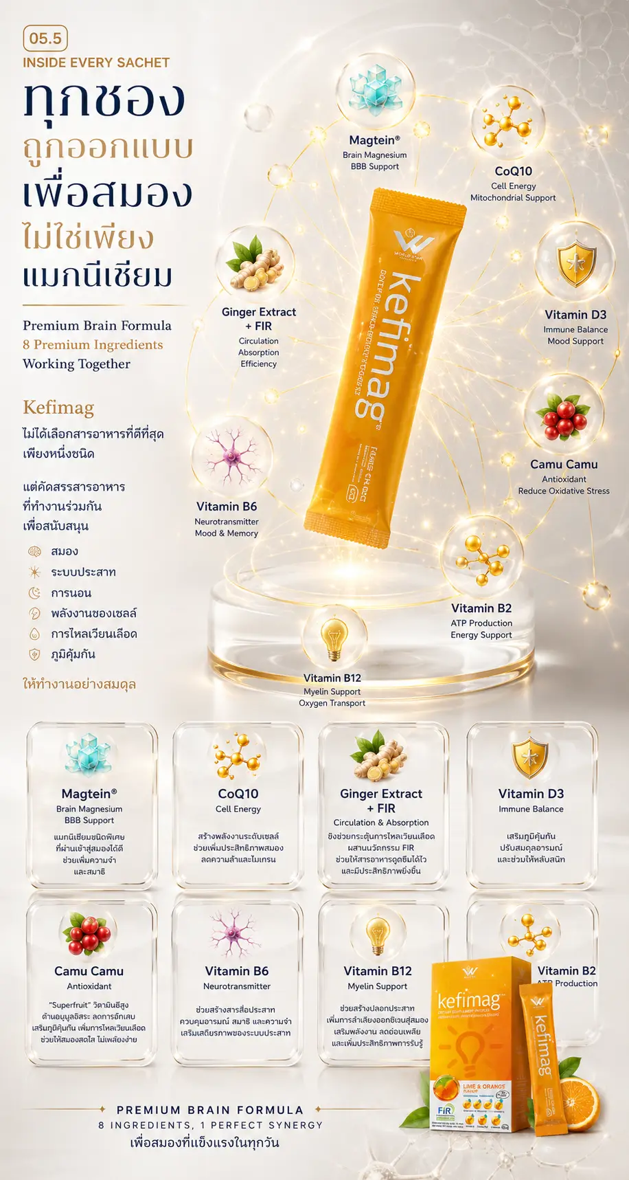 Kefimag เคฟีแมก brain nutrition 04 0 magnesium l threonate โภชนาการสมอง brain hacking