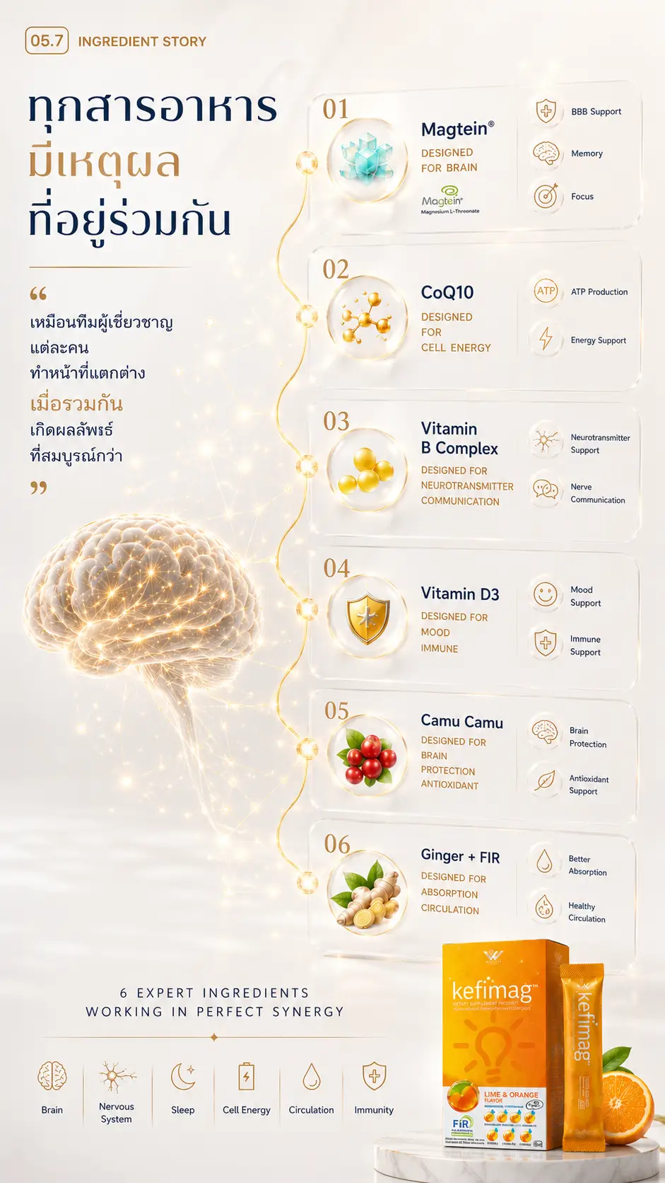 Kefimag เคฟีแมก brain nutrition 04 3 สมอง ไม่ได้ต้องการสารอาหารอย่างเดียว magnesium l threonate