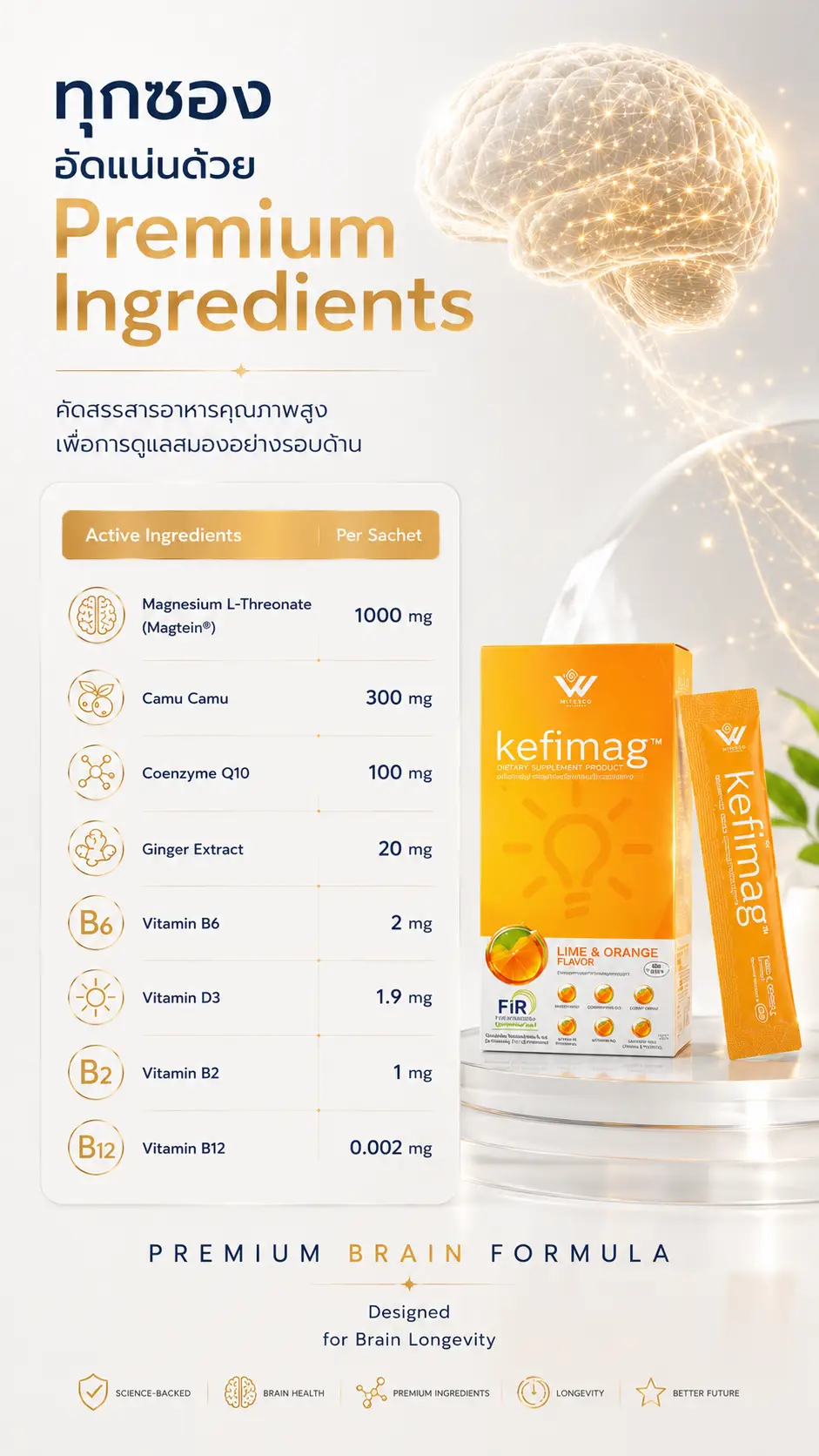 Kefimag เคฟีแมก brain nutrition 04 4 สารสกัดในเคฟีแมก longevity