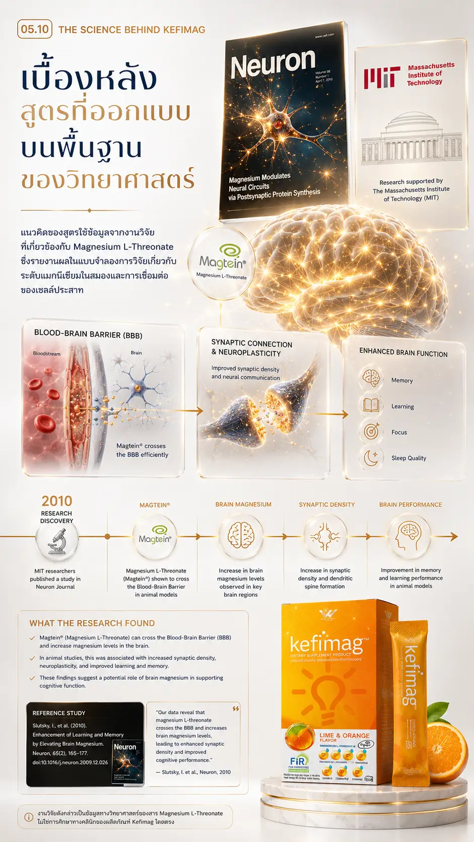 Kefimag เคฟีแมก brain nutrition 04 6 เคฟีแมก ทานยังไง longevity