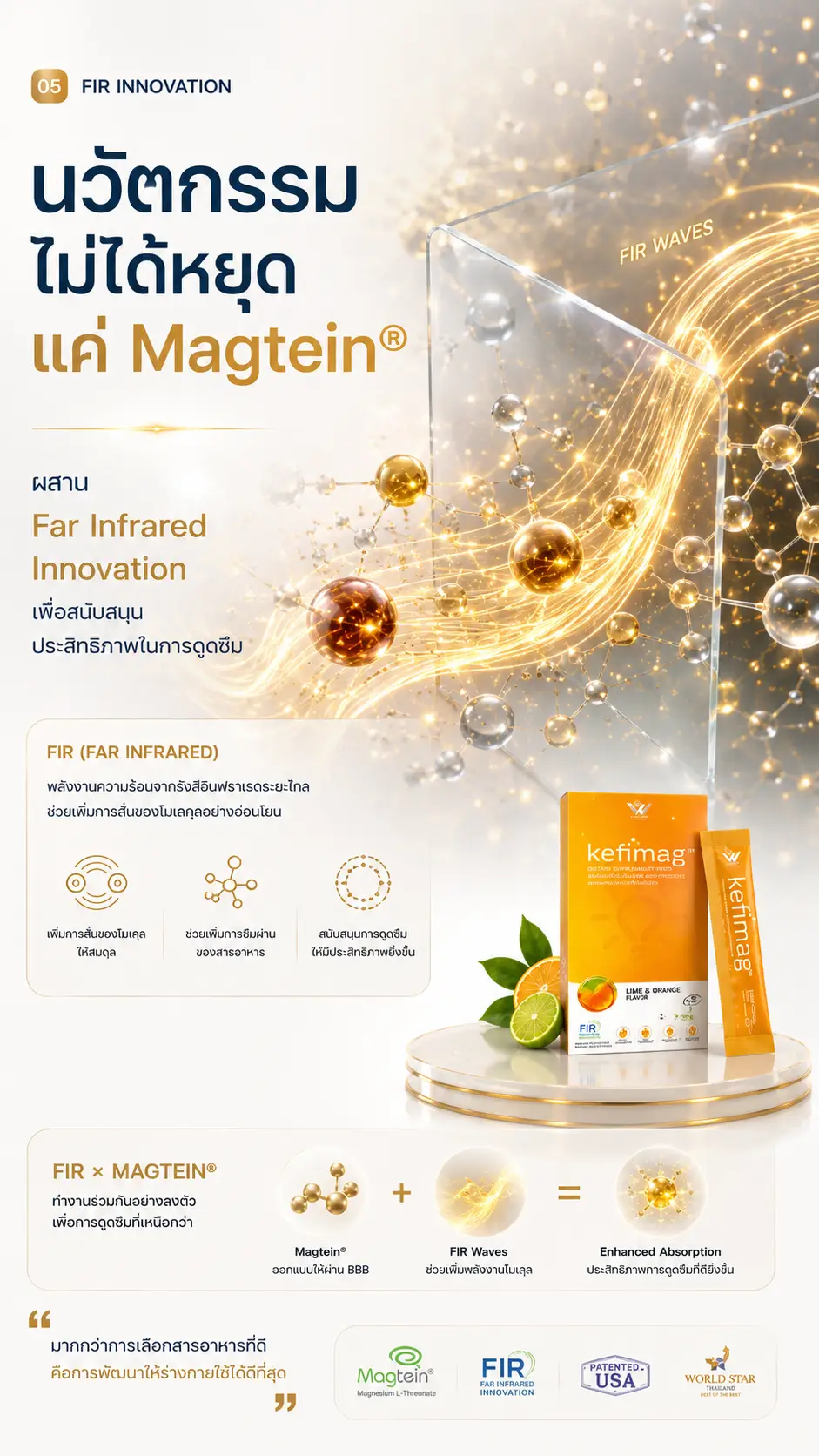 Kefimag เคฟีแมก brain nutrition 04