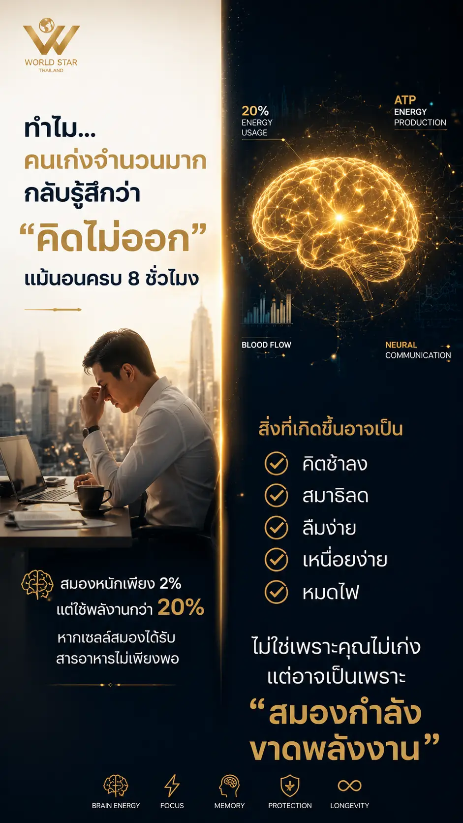 สมองล้า สมองขาดพลังงาน สมองตื้อ คิดไม่ออก เคฟีแมก kefimag 01
